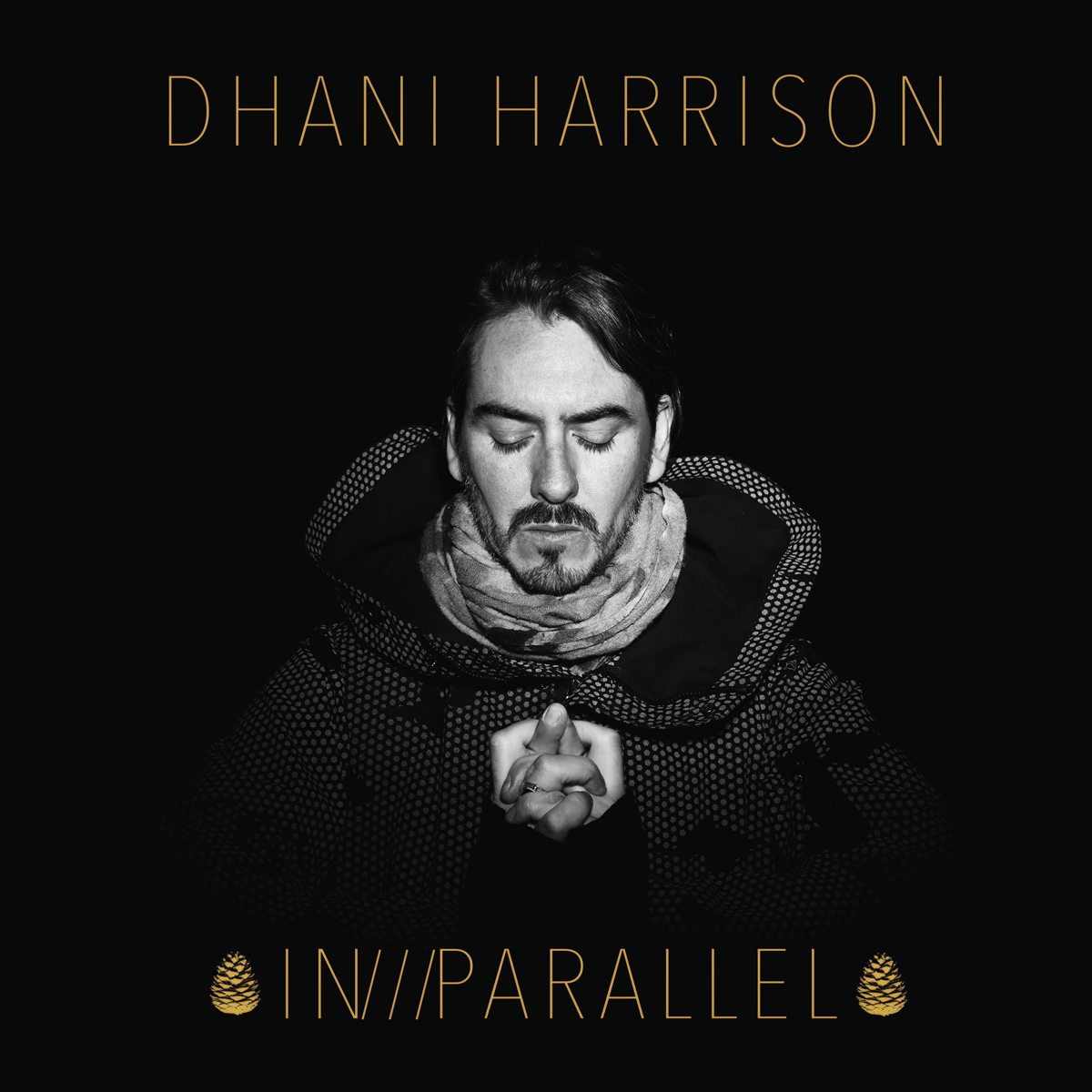 In Parallel - Dhani Harrison